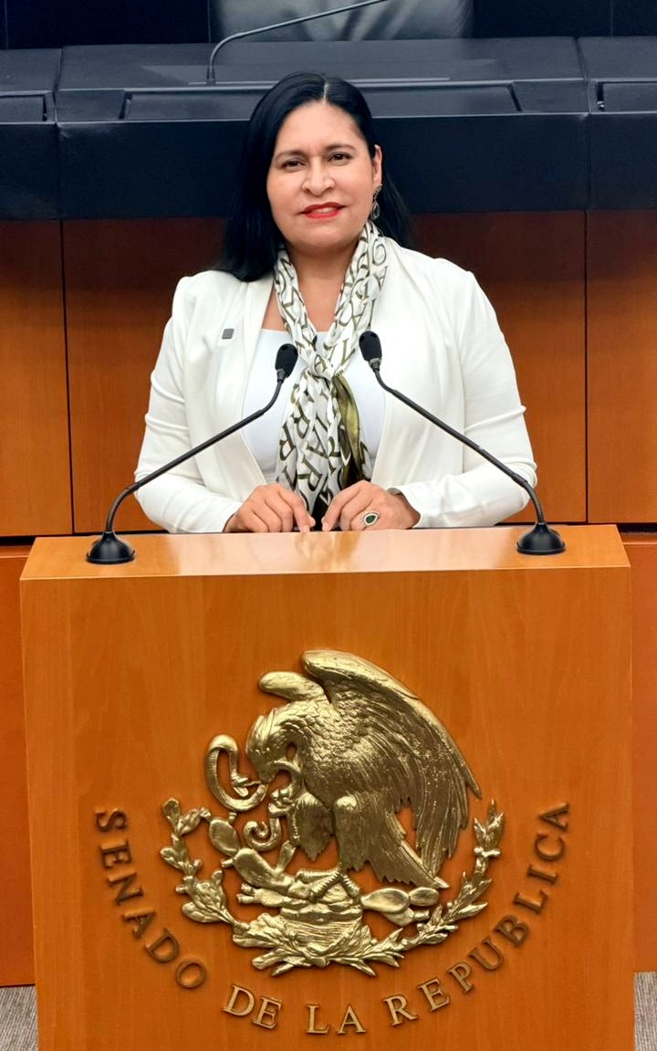 Ana Lilia Rivera advierte posible violación constitucional en Chihuahua; exige rendición de cuentas